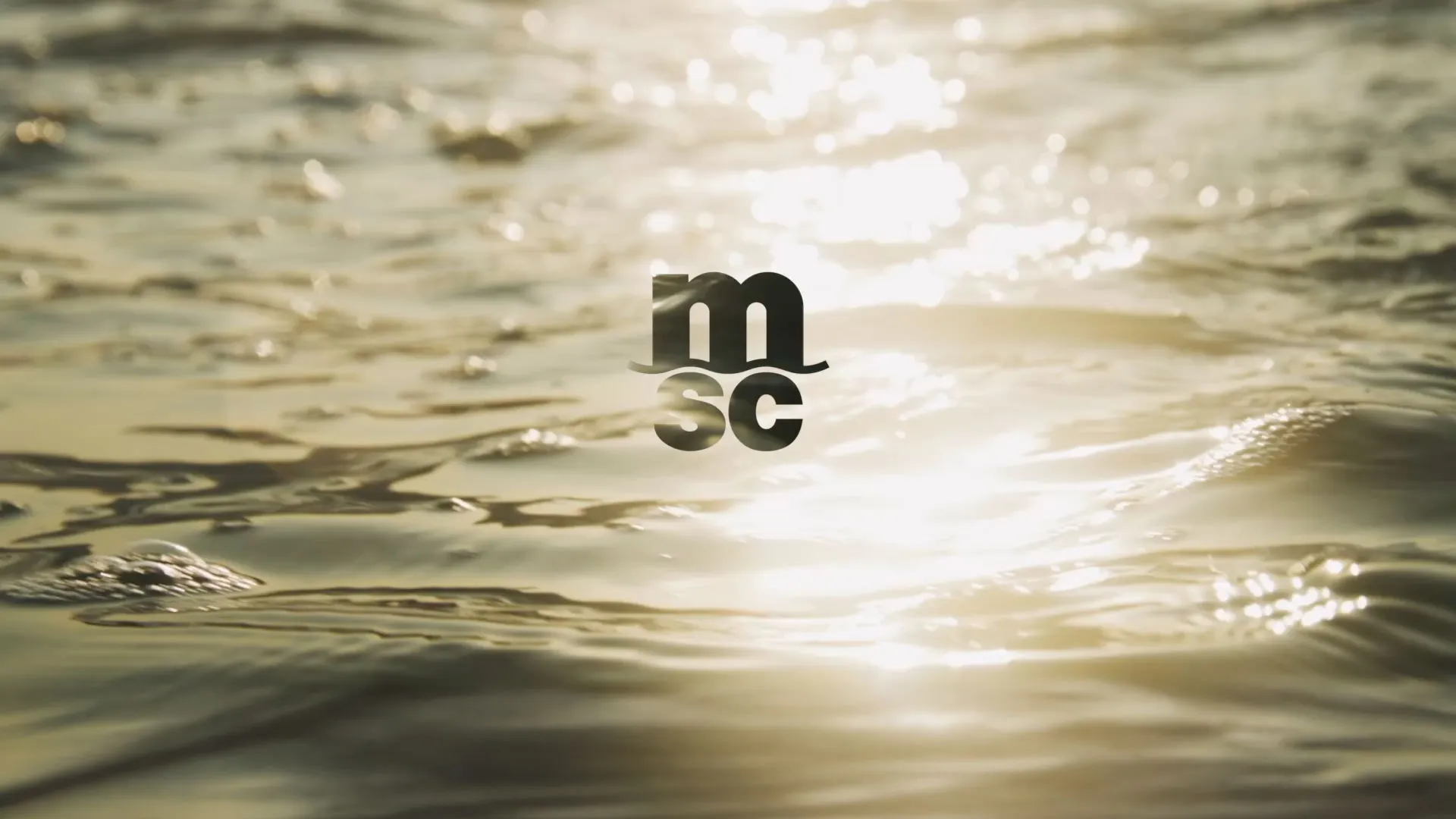 Sonnenlicht reflektiert auf ruhiger Wasseroberfläche mit MSC-Logo in der Mitte.