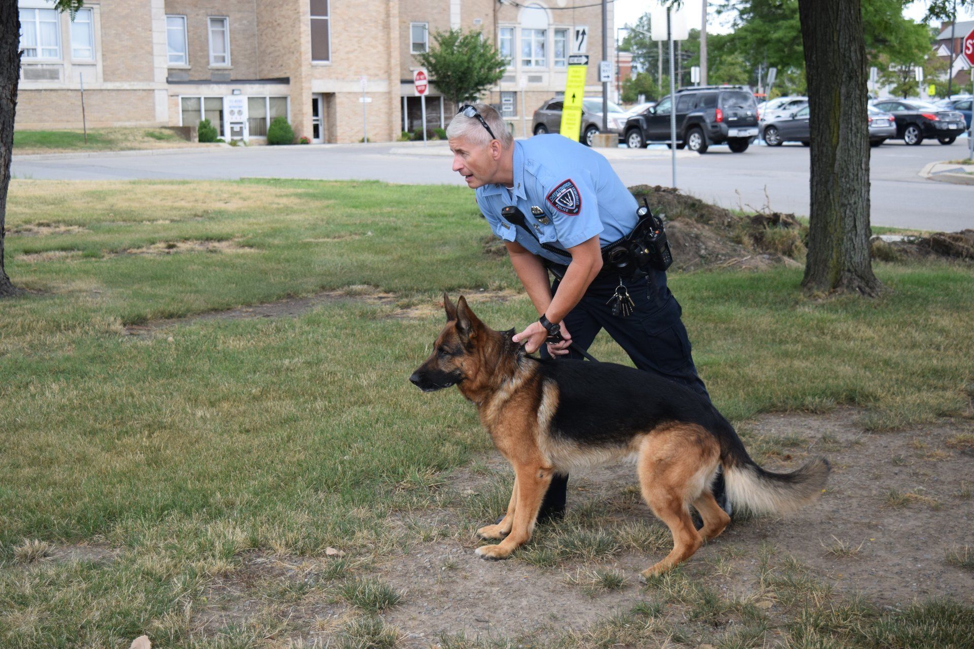 Working Dogs and their Differences