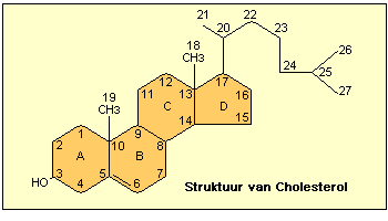 scheikundige beeld van cholesterol