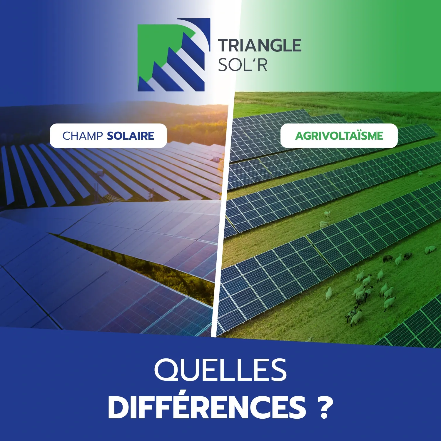 Comparatif champ solaire ou agrivoltaïsme
