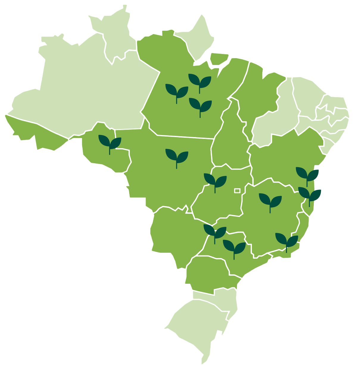 Mapa dos estados com atuação da Silva