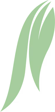 Design | Green Air Heating and Air Conditioning
