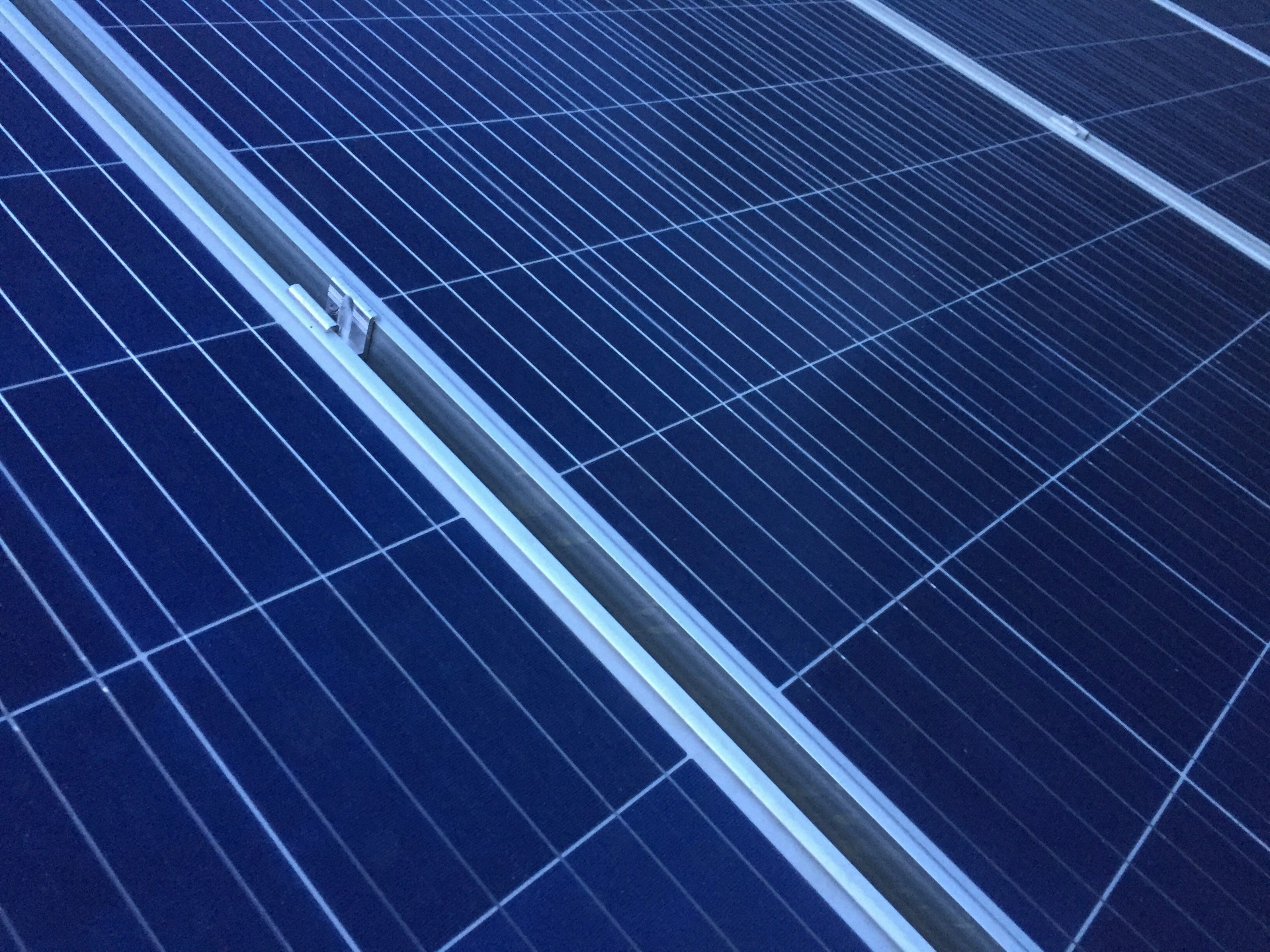 Solar Panel Maintenance: Removing Debris for Optimal Performance