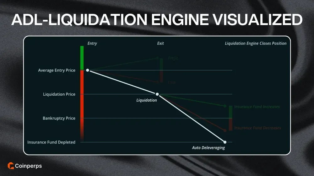 ADL-Liquidation Engine Visualized