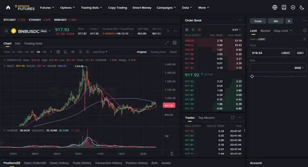 Binance USDC Perps
