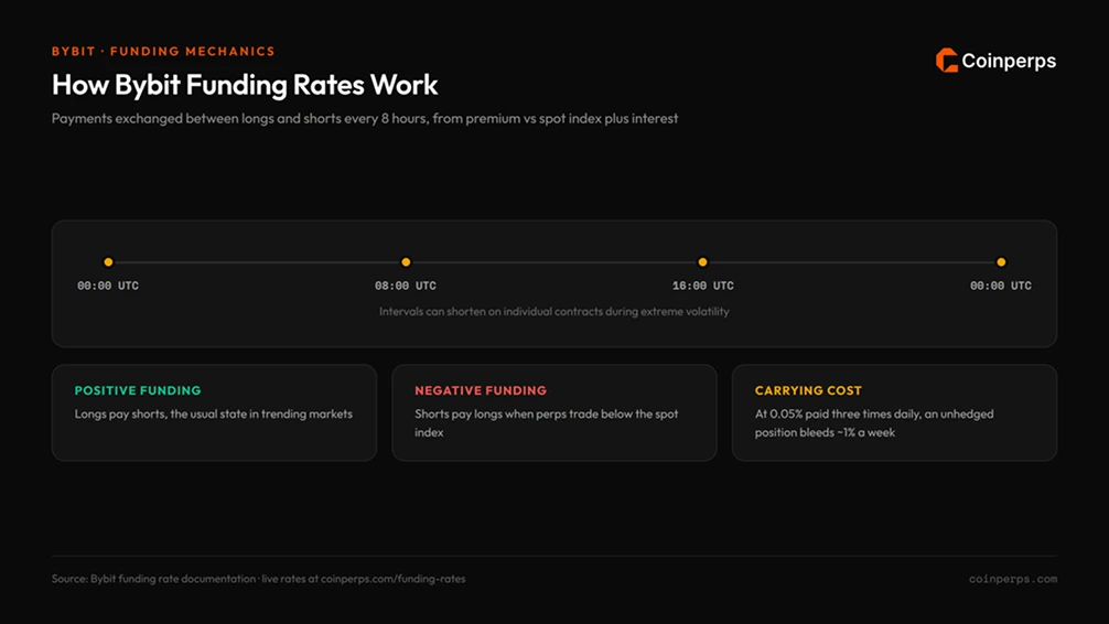 Bybit funding费率如何运作