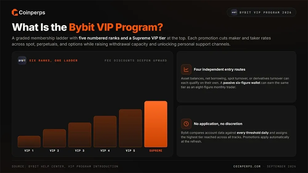Что такое программа Bybit VIP