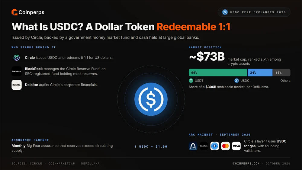 Обзор USDC, показывающий Circle в качестве эмитента, BlackRock в роли управляющего резервами, капитализацию примерно в 73 миллиарда долларов и долю 24% на рынке стейблкоинов объёмом 306 миллиардов долларов против 60% у USDT