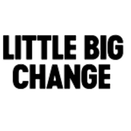 Little Big Change logo