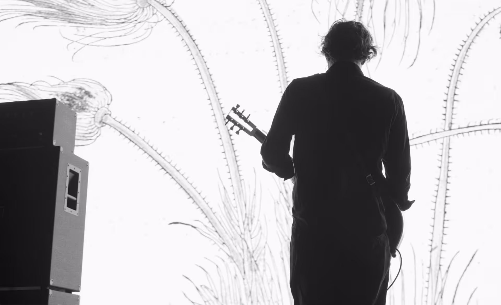 Musicista visto di spalle su un palco con una chitarra acustica davanti a uno sfondo luminoso decorato con disegni floreali.