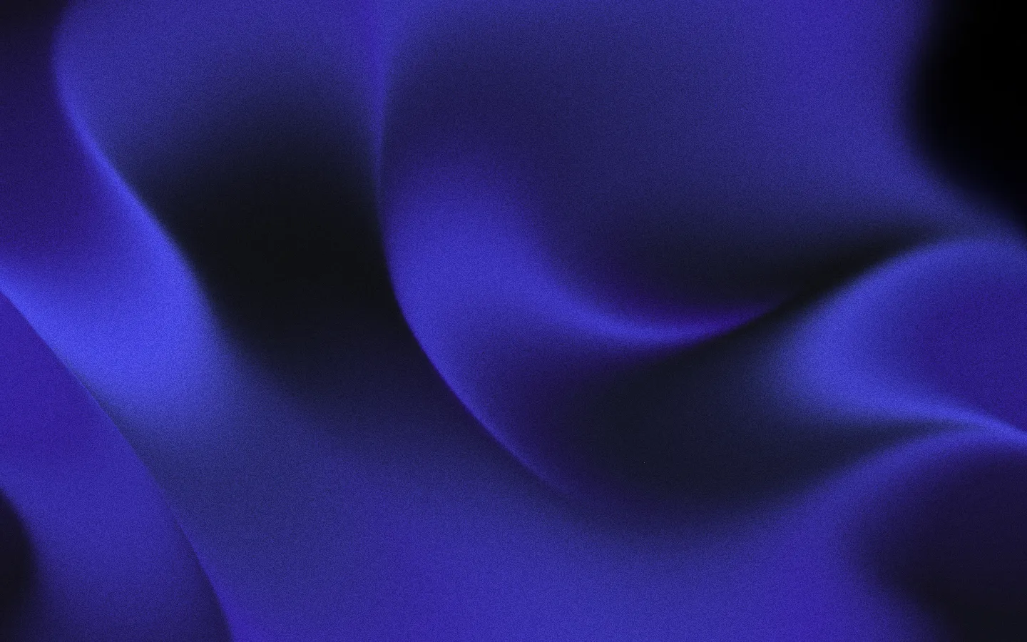 Collectiv — Creatieve website studio gevestigd in Brussel