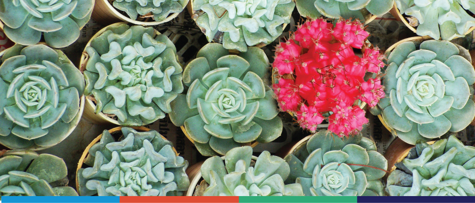 5 Ways to Thrive in the Post-Purchase Landscape