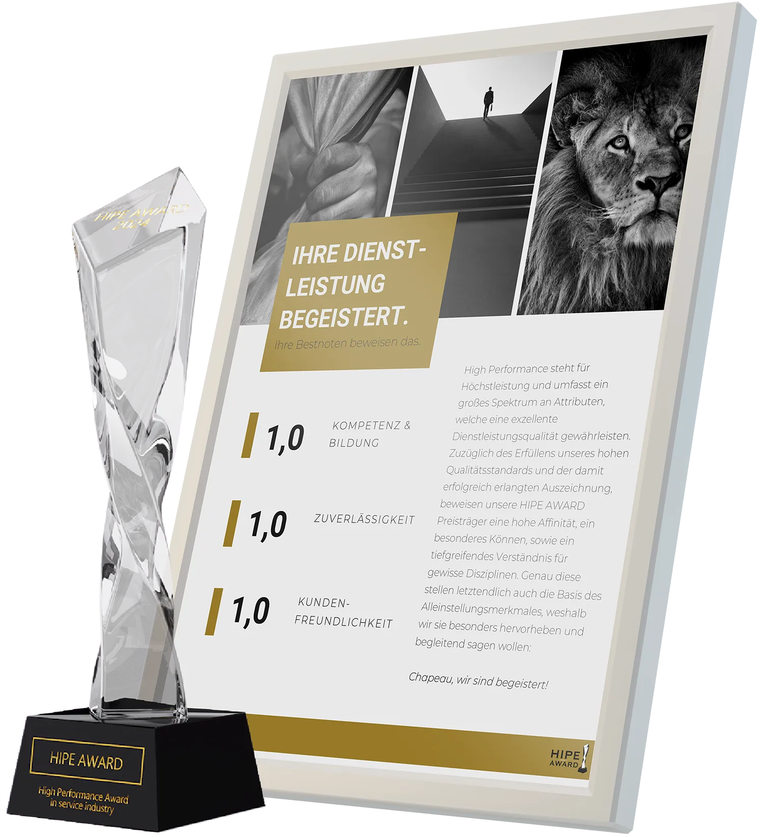 HIPE Award 2024 – Auszeichnung für vibs.media