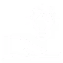 lightbulb icon