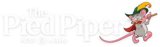 the pied piper logo