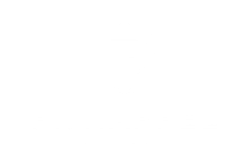 Pijnappel