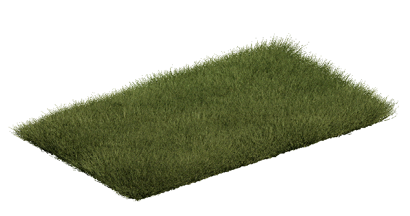 gums biodegrading in grass