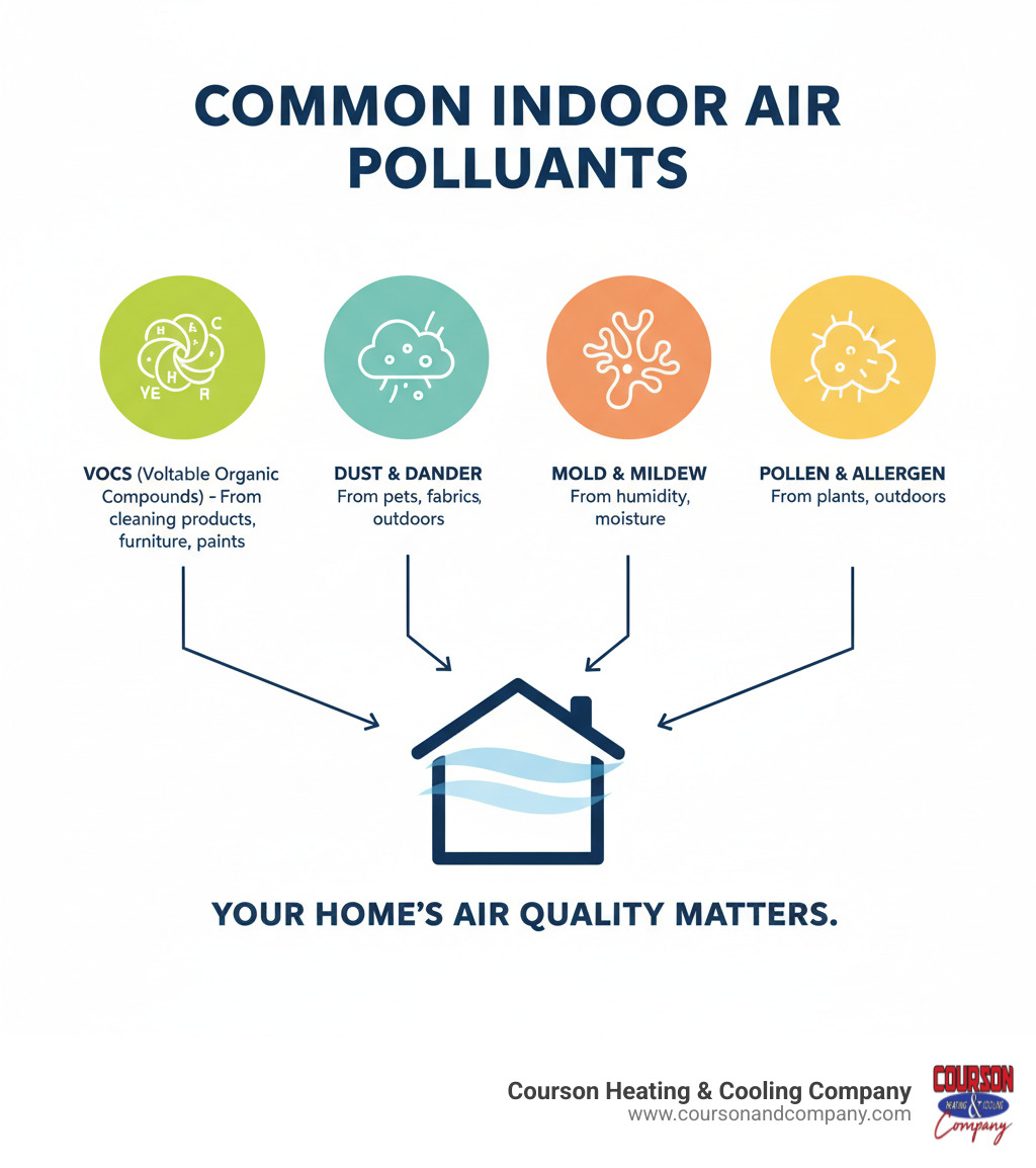 Infographic explaining the common sources of indoor air pollution like VOCs, dust, dander, and mold - whole home air purification valrico fl infographic 