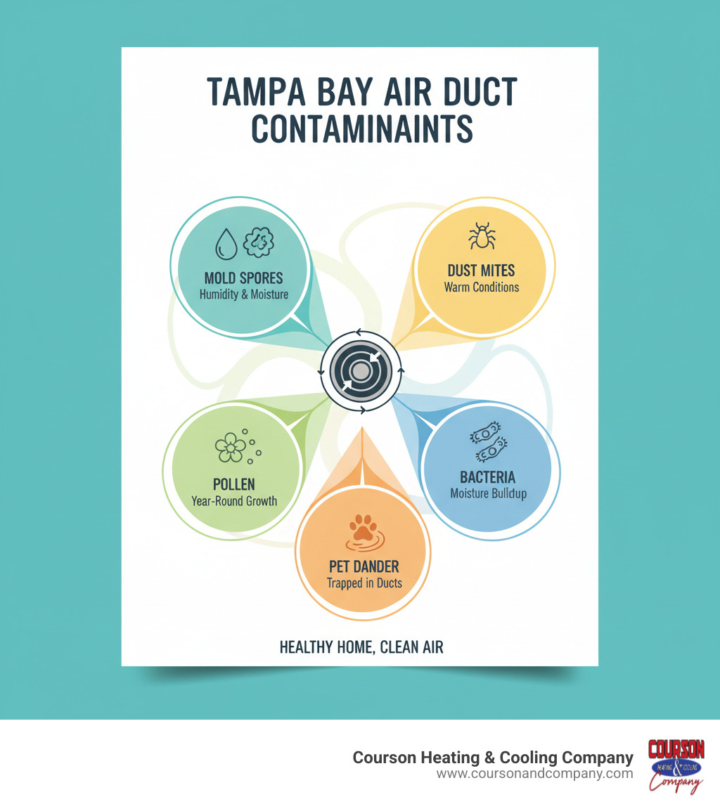 infographic showing common tampa bay air duct contaminants including mold spores from humidity, dust mites thriving in warm conditions, pollen from year-round growing season, bacteria from moisture buildup, and pet dander trapped in ductwork - air duct sanitizing tampa bay fl infographic 