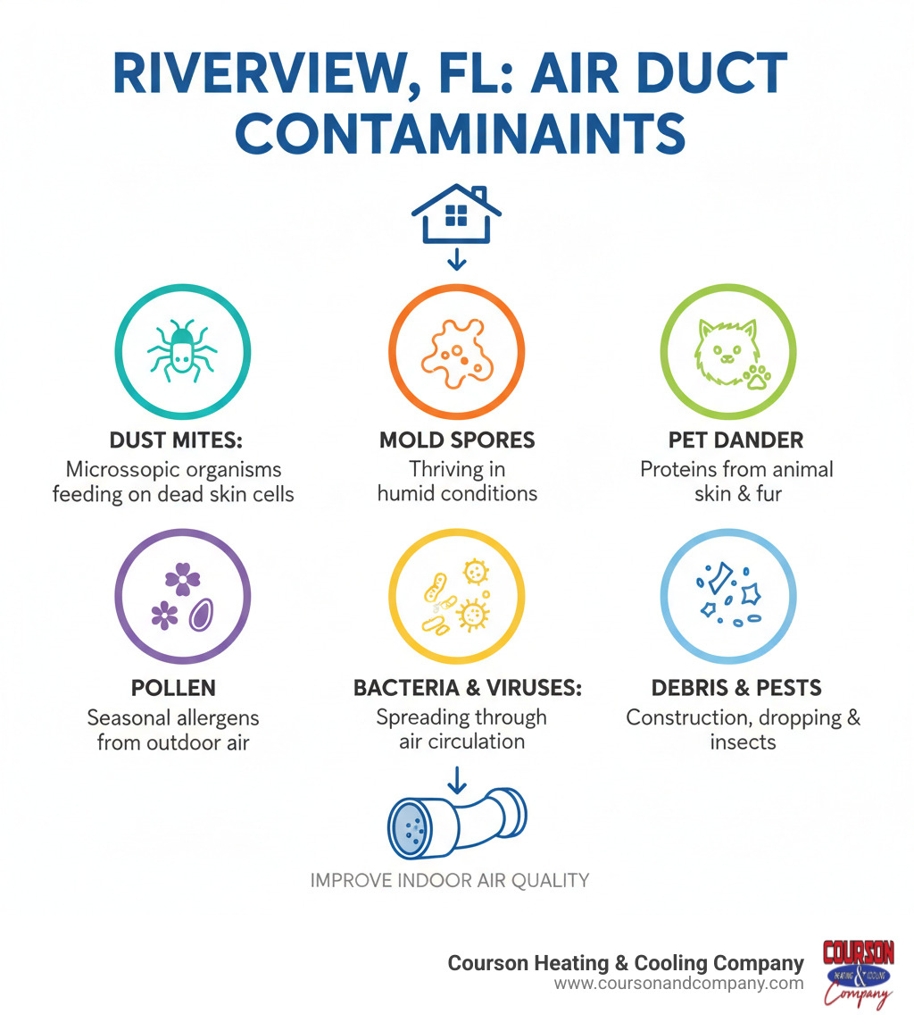 Infographic showing common air duct contaminants found in Riverview FL homes including dust mites (microscopic organisms feeding on dead skin cells), mold spores (thriving in humid conditions), pet dander (proteins from animal skin and fur), pollen (seasonal allergens entering through through outdoor air), bacteria and viruses (spreading through air circulation), construction debris (from renovations or new builds), and insect or rodent droppings (evidence of pest infestations) - air duct inspection riverview fl infographic 