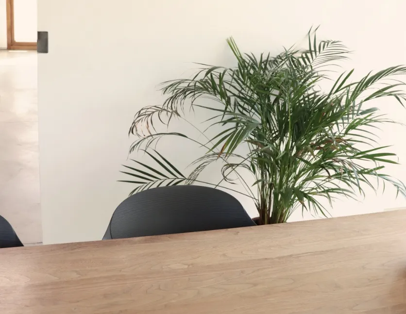 Een lege tafel met een stoel en een plant