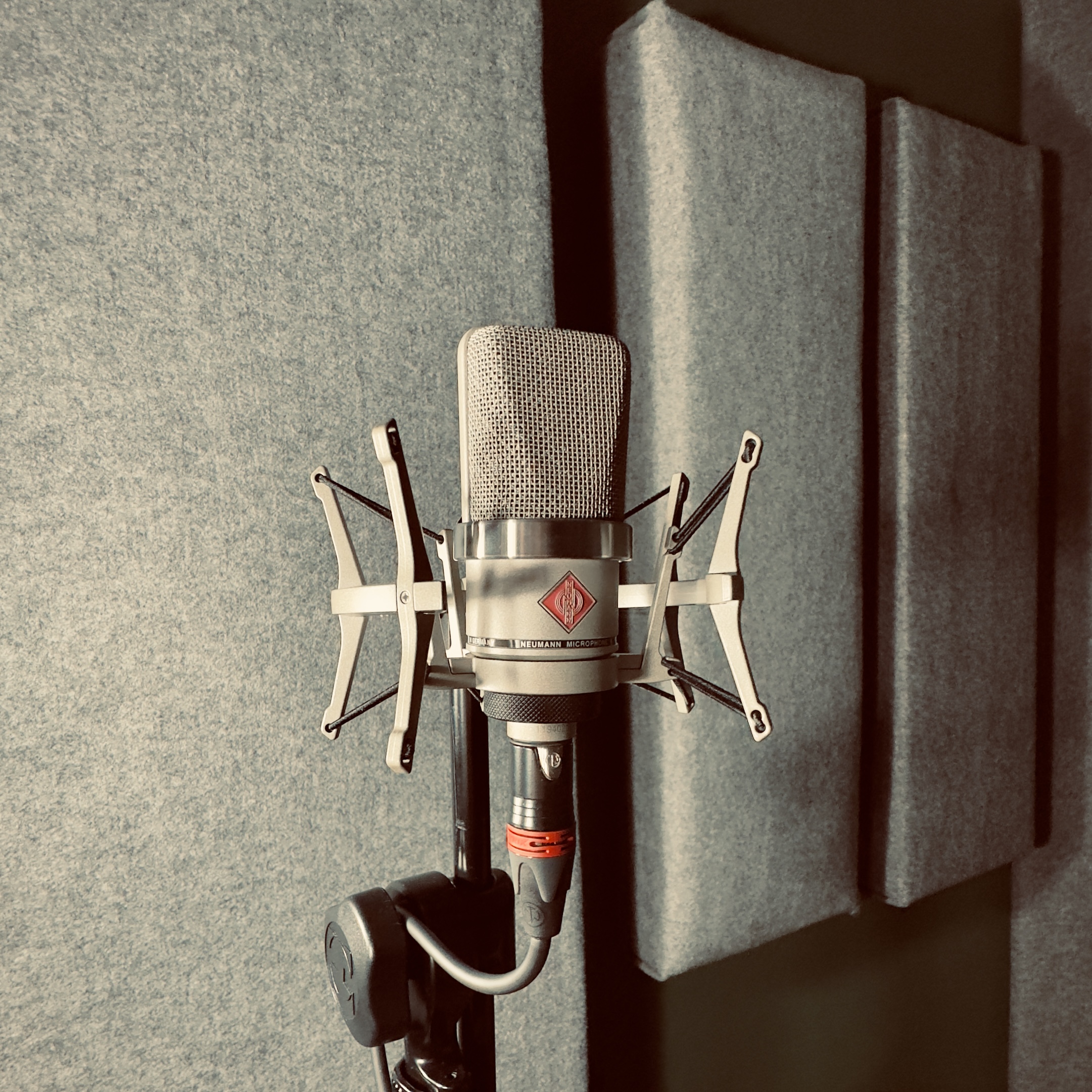 Close-up of a Neumann condenser microphone with shock mount in a soundproof studio setting.