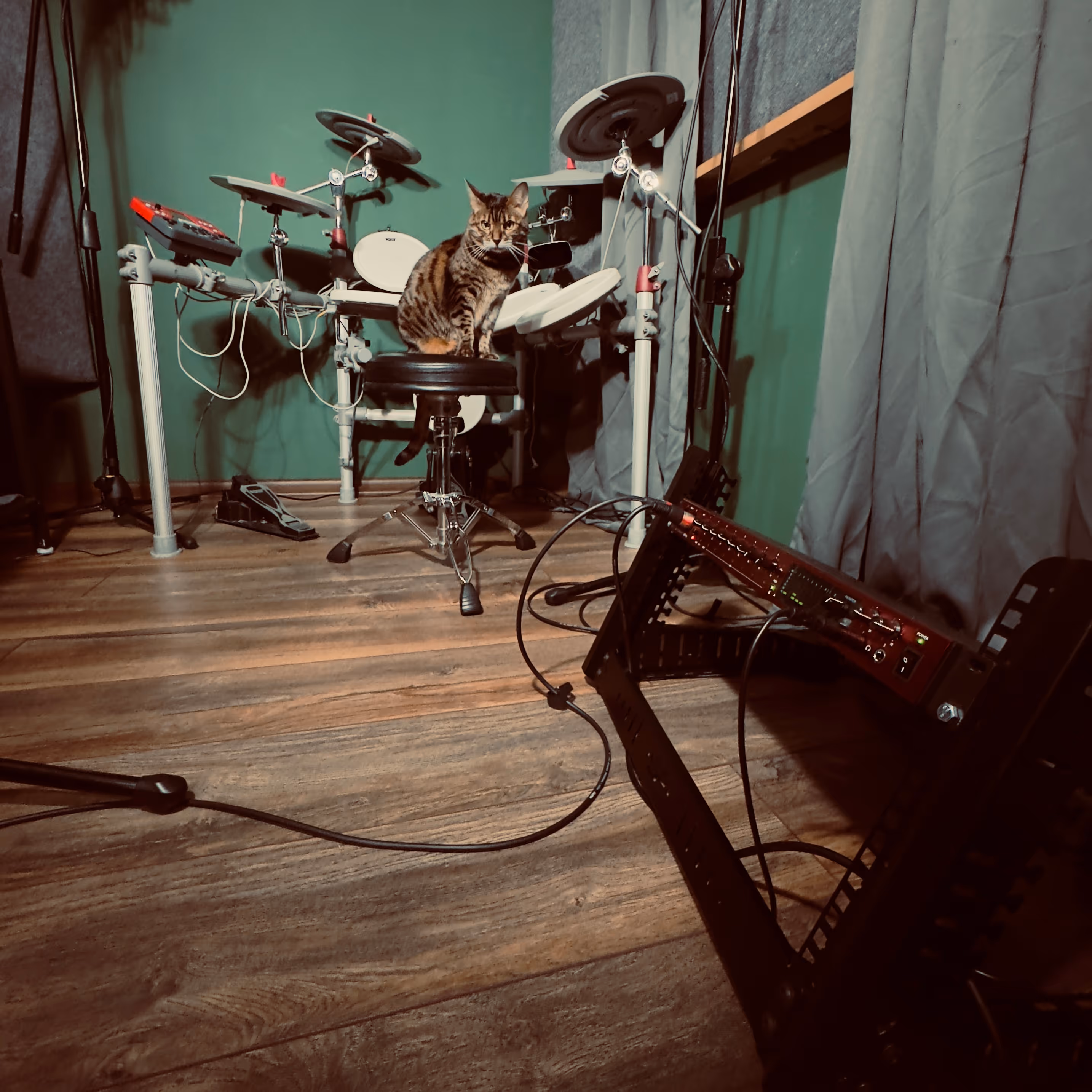 Tabby cat sitting on a drum throne in front of an electronic drum kit in a music room with wooden floor and green walls.