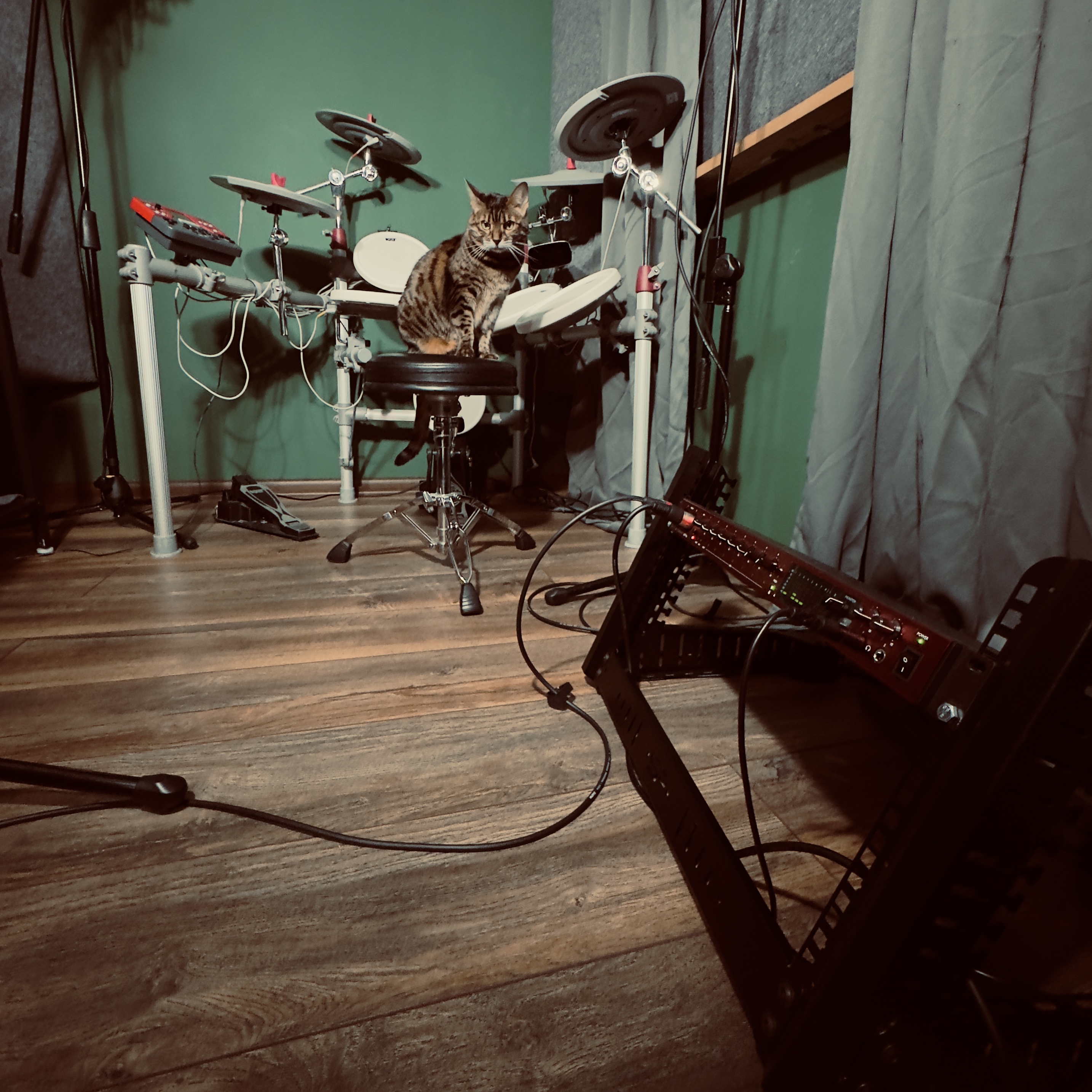 Tabby cat sitting on a drum throne in front of an electronic drum kit in a music room with wooden floor and green walls.