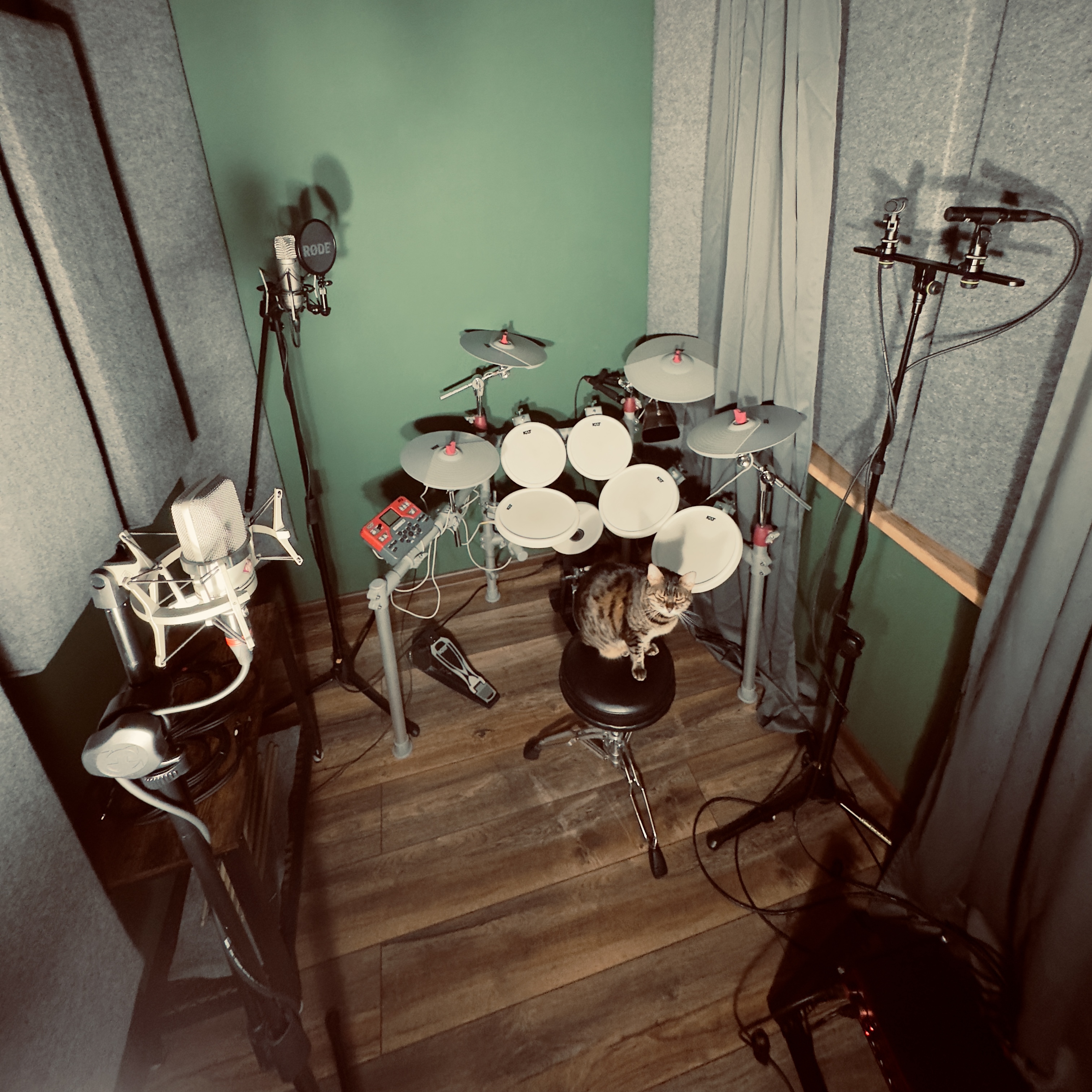 A small cat sitting on a black drum stool in a music recording room with an electronic drum set and multiple microphones on stands.