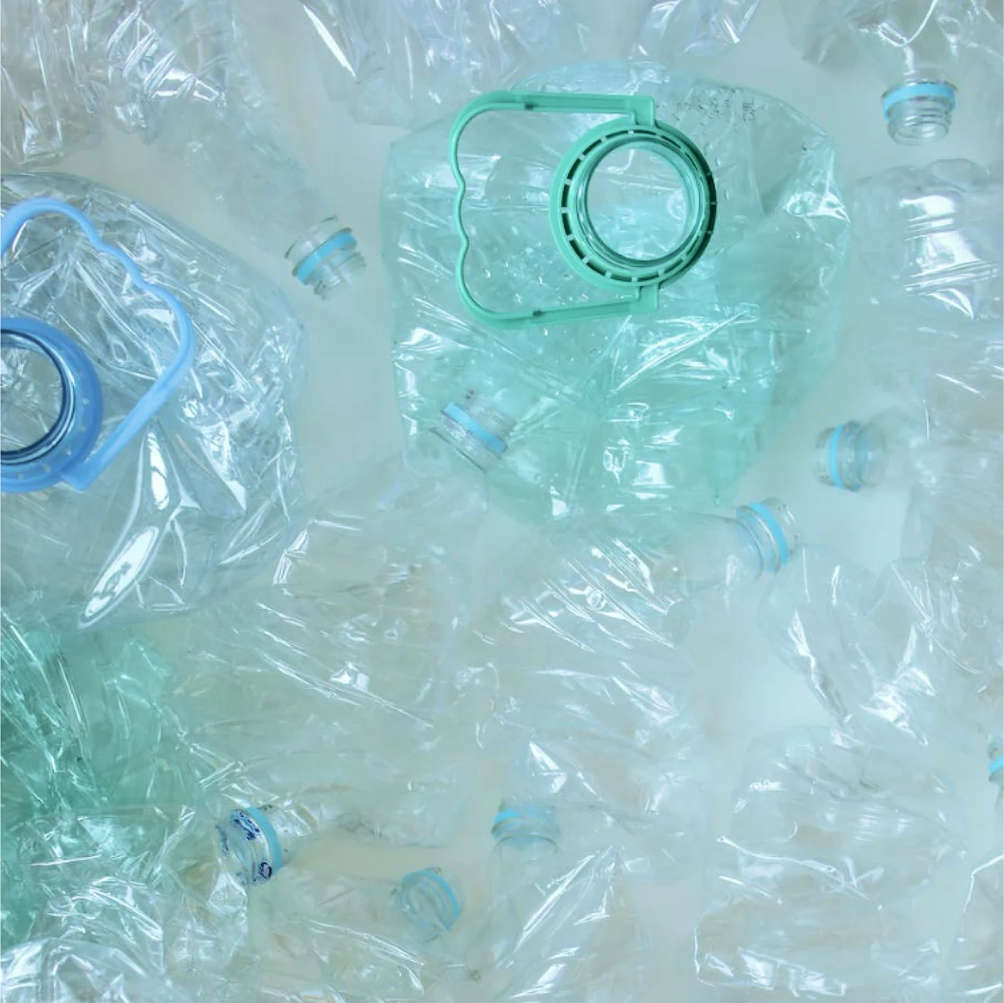 a group of empty plastic bottles