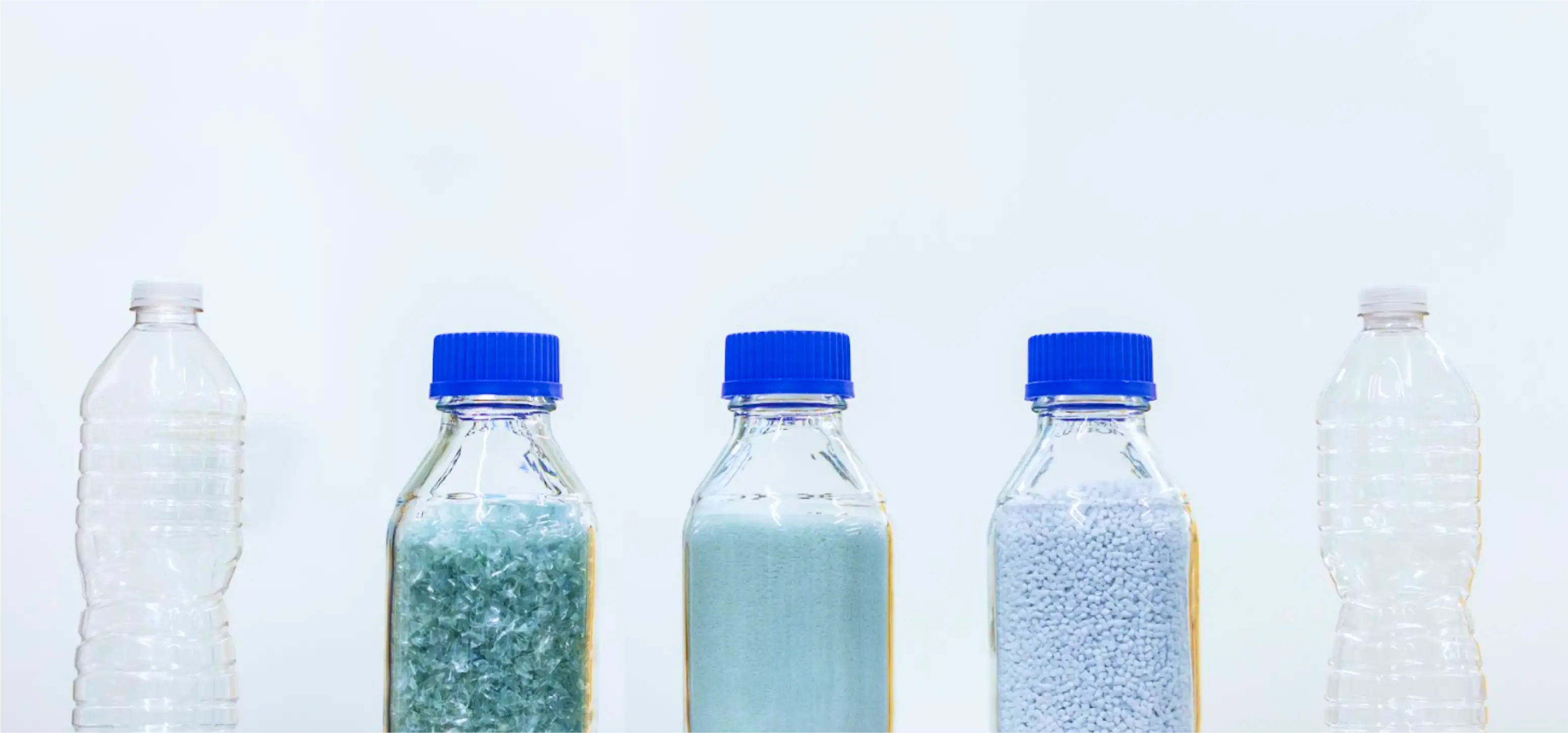 A group of bottles with blue caps