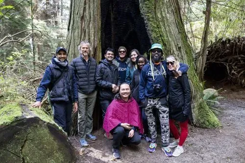 A group of people standing in front of a tree.