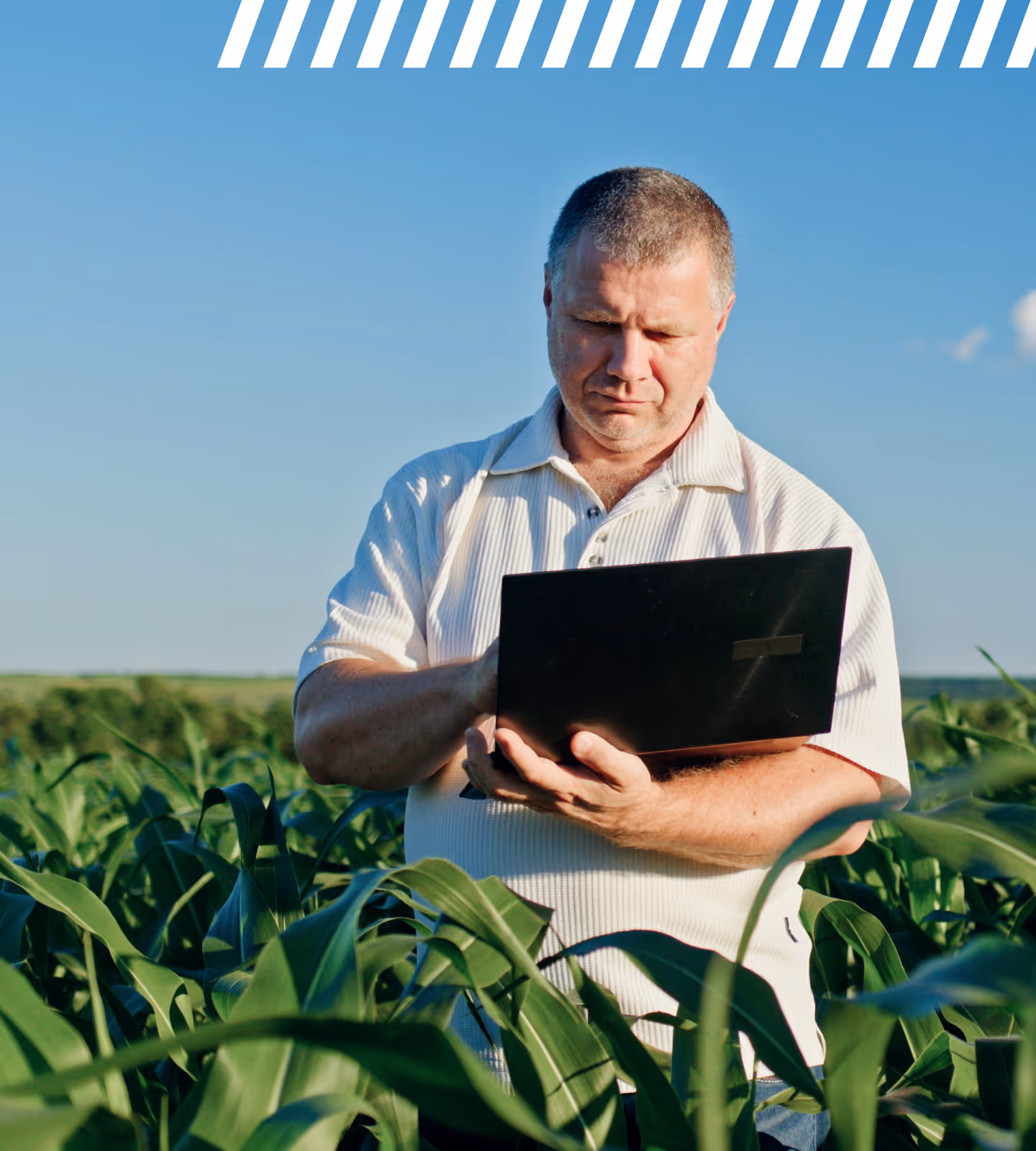 Farmer in field holding laptop