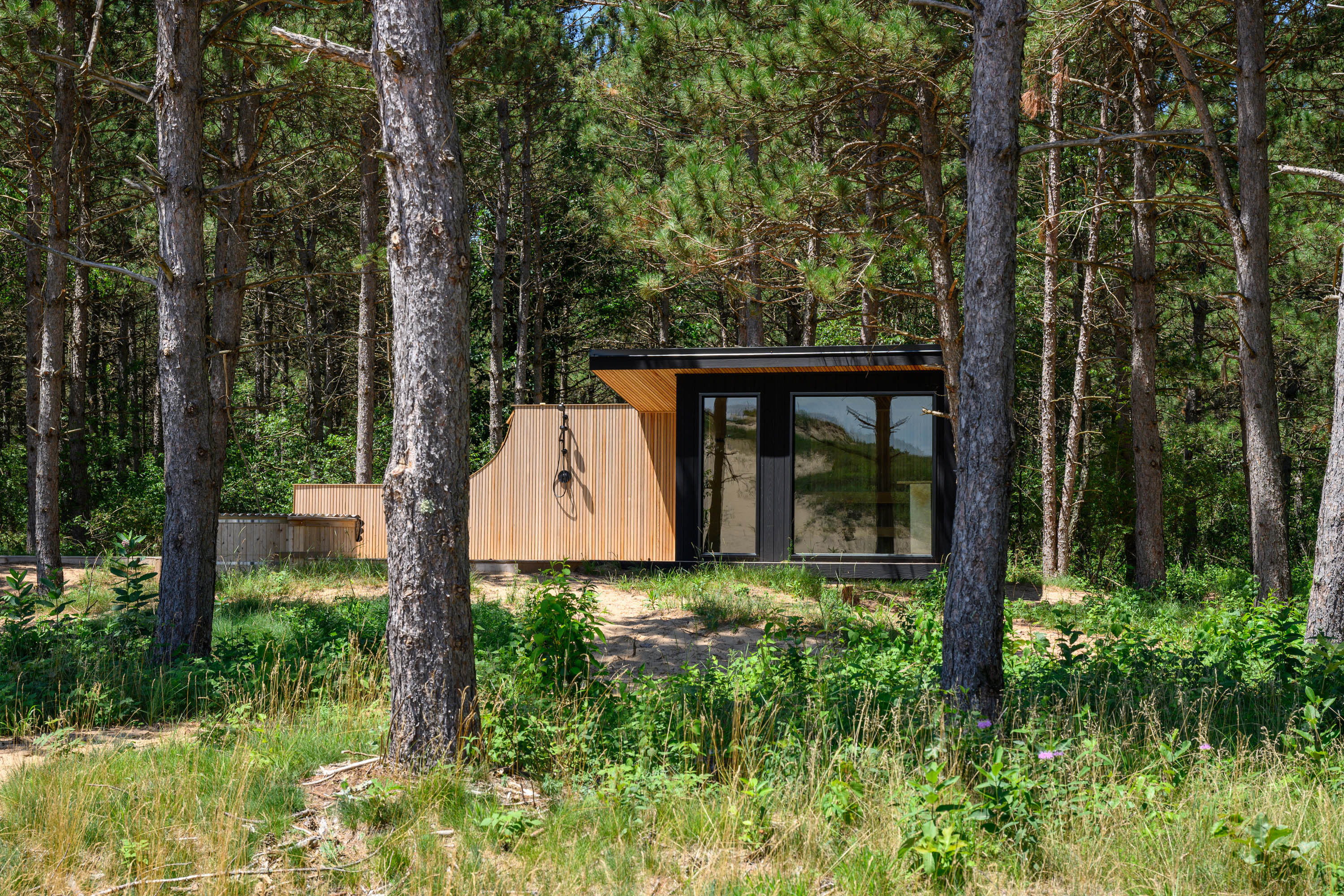 Small modern structure surrounded by pine trees and vegetation.