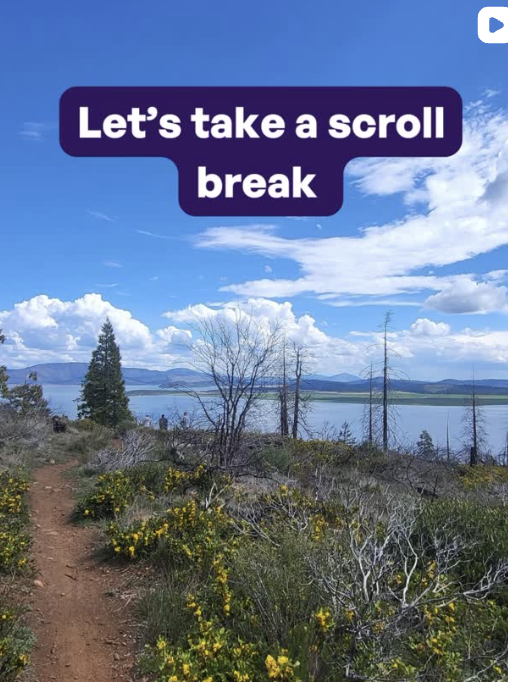 Stop the scroll and do something screen-less for yourself today 🌿 You will thank you for it 💜 #YMHCDigitalWellness