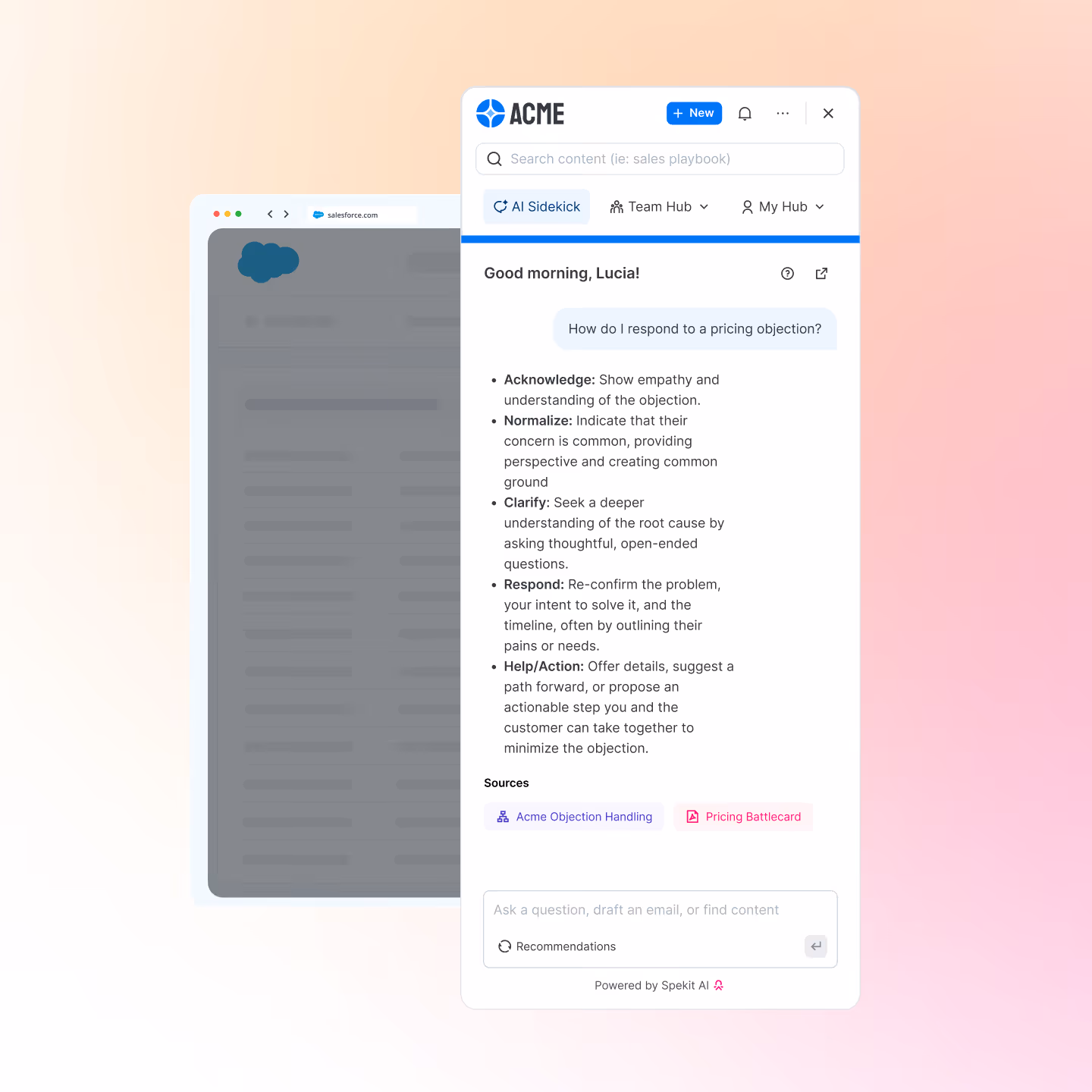 Chat interface greeting user Lucia with steps on responding to pricing objections, including acknowledging, normalizing, clarifying, responding, and offering help or action.