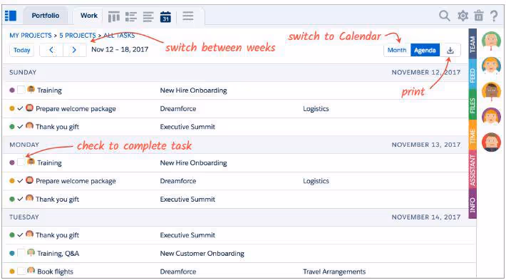TaskRay Salesforce Task View