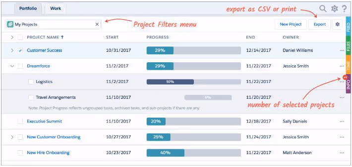 TaskRay Salesforce Portfolio View