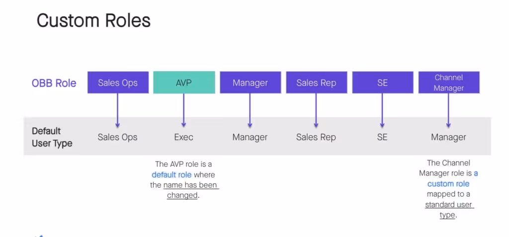 Clari Salesforce Custom Roles