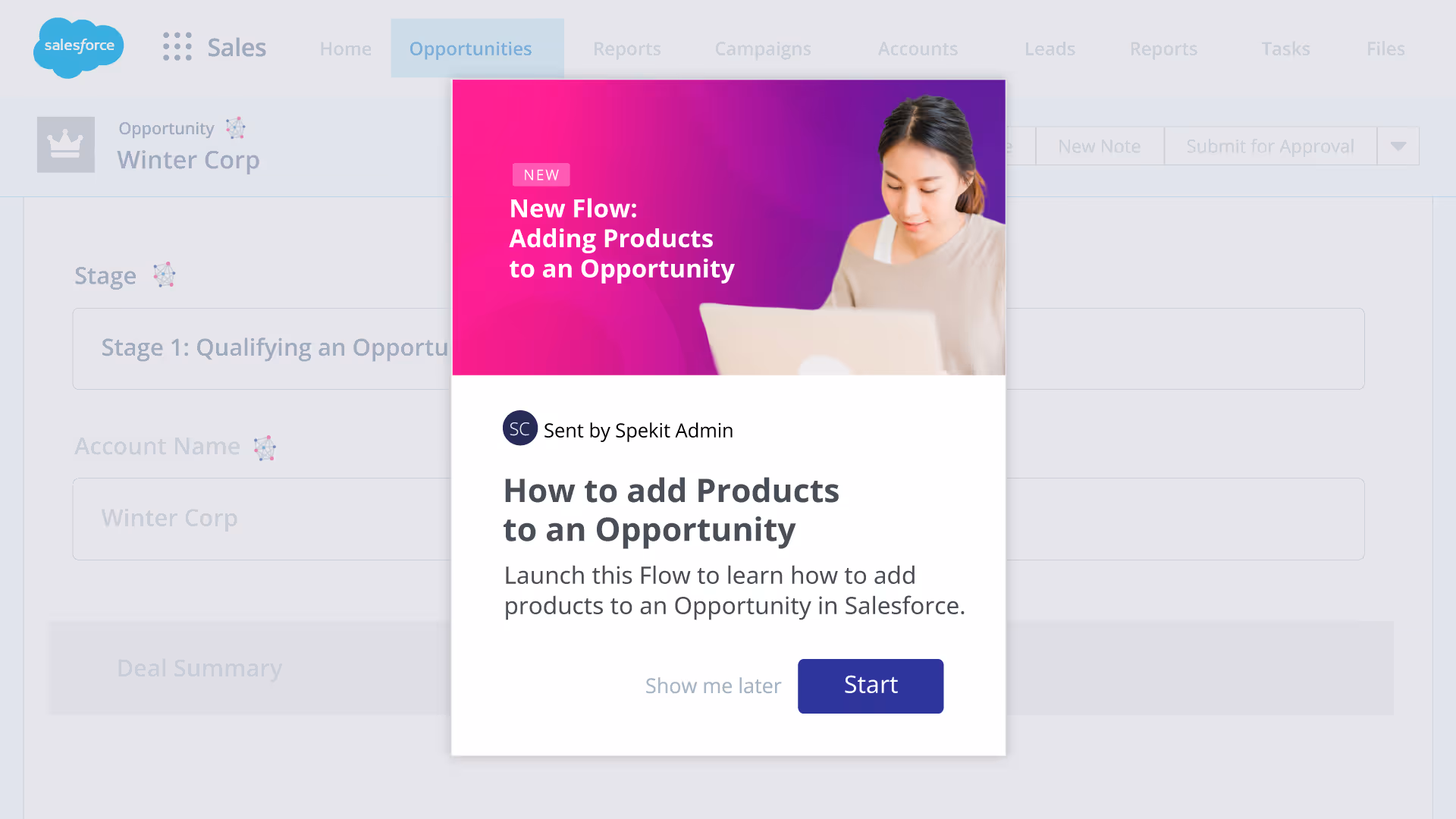 Salesforce data dictionary change management