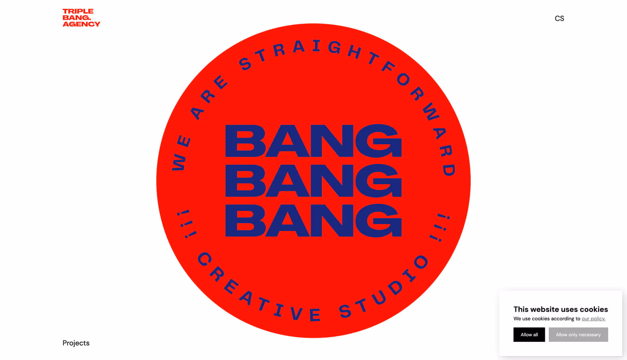 Preview of design homepage for Triple Bang Agency