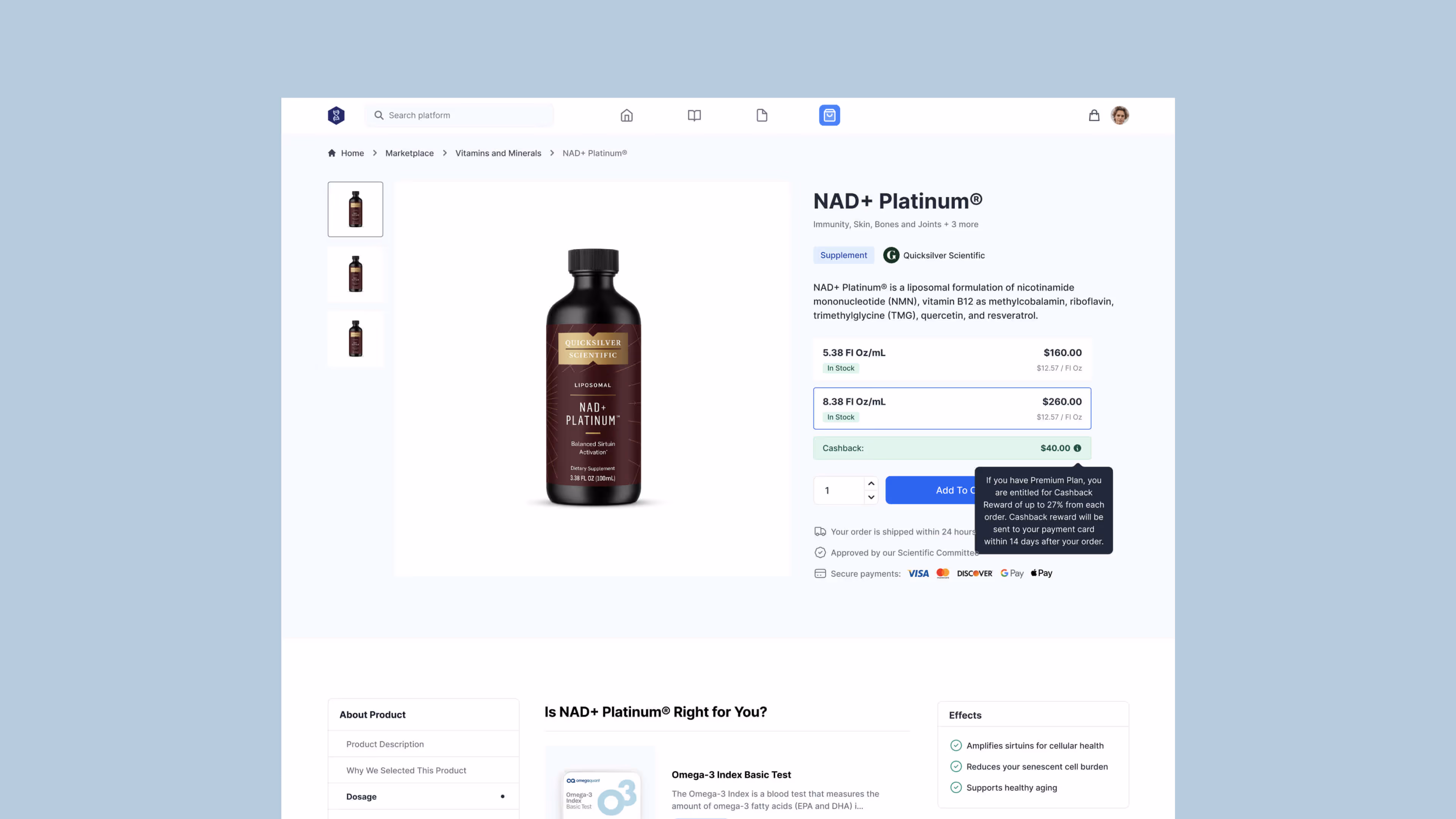 Mockup with Budweiser Budvar web application