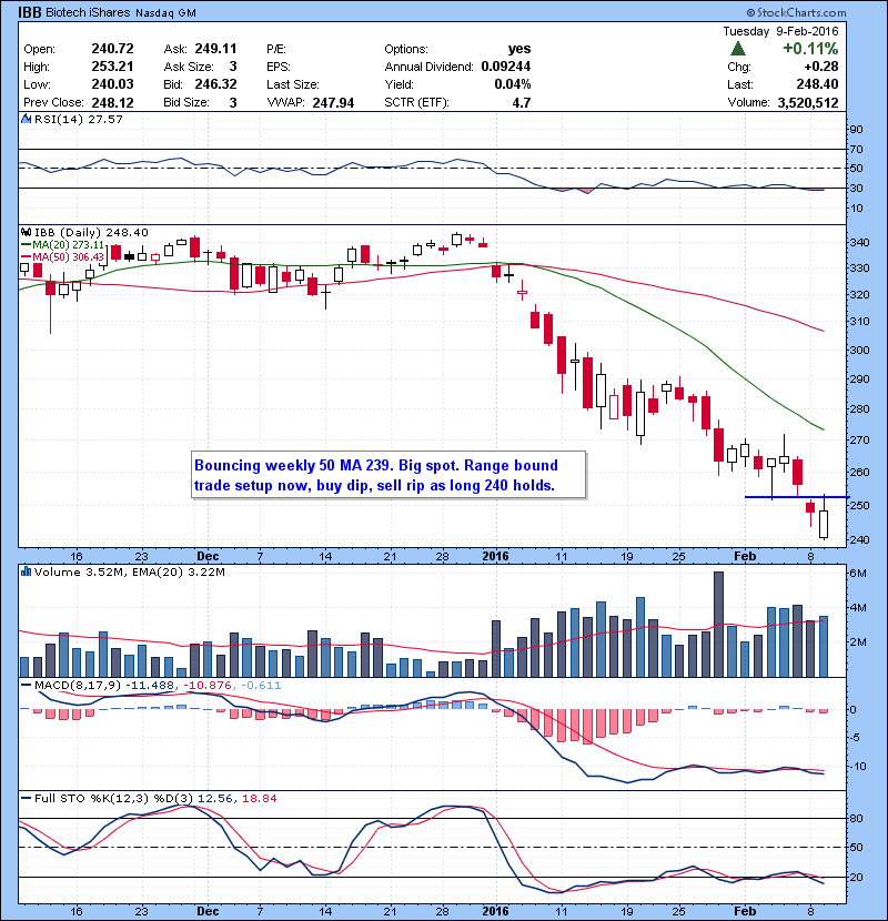 IBB Bouncing weekly 50 MA 239. Big spot. Range bound trade setup now, buy dip, sell rip as long 240 holds.