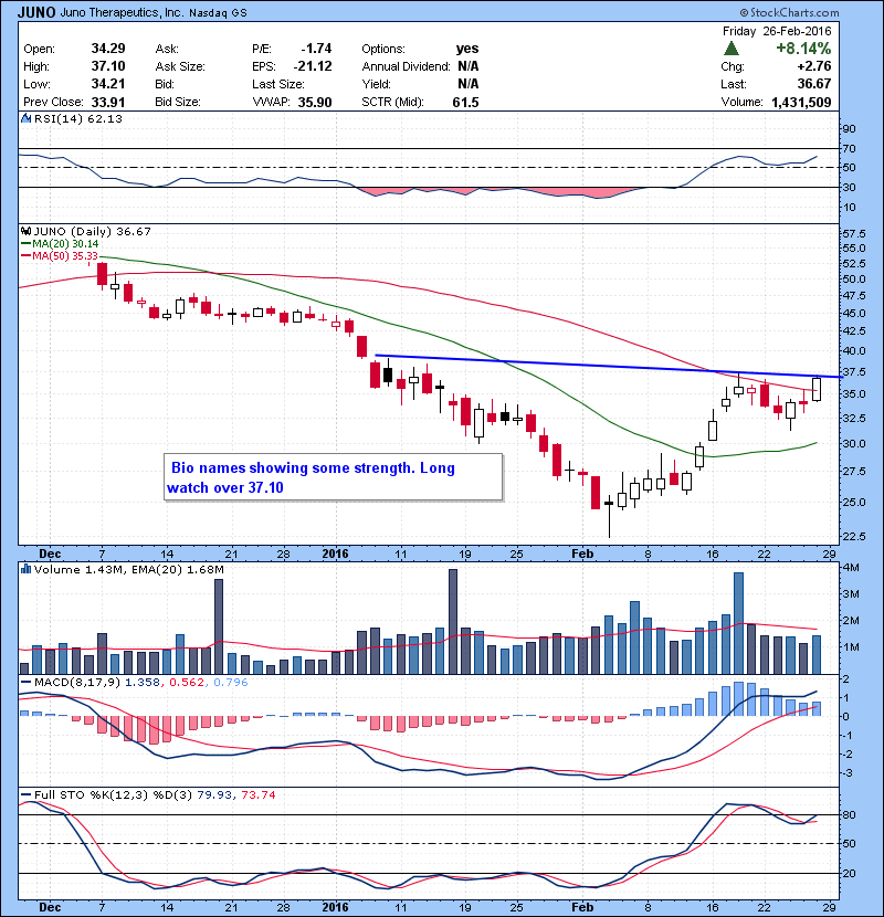 JUNO Bio names showing some strength. Long watch over 37.10.