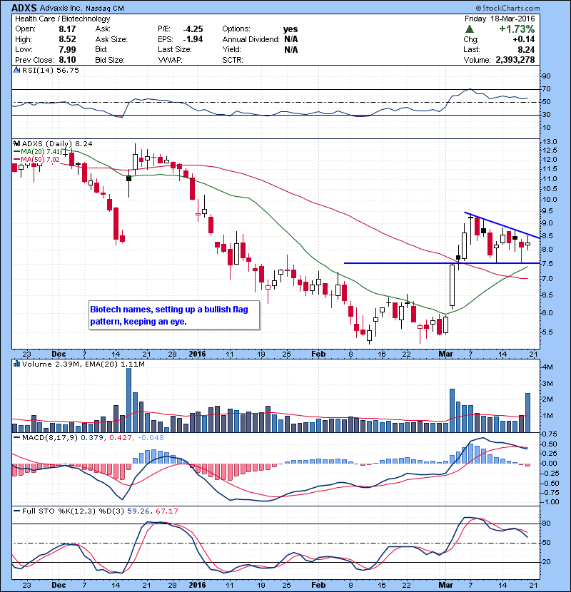 ADXS Biotech names, setting up a bullish flag pattern, keeping an eye.