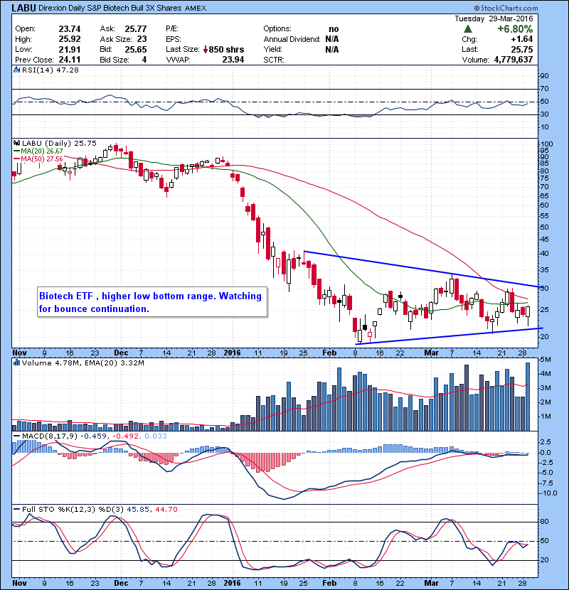 LABU Biotech ETF , higher low bottom range. Watching for bounce continuation.