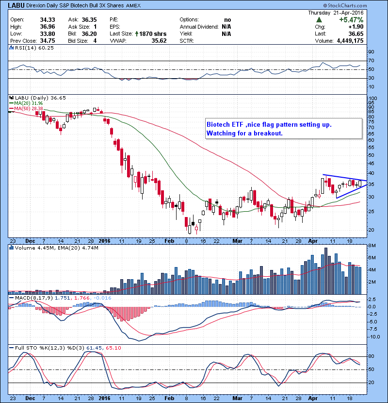 LABU Biotech ETF ,nice flag pattern setting up. Watching for a breakout. 