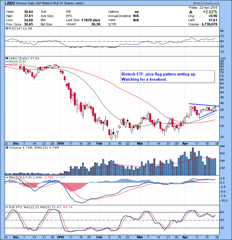 LABU Biotech ETF ,nice flag pattern setting up. Watching for a breakout. 