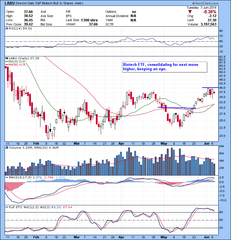 LABU Biotech ETF, consolidating for next move higher, keeping an eye.