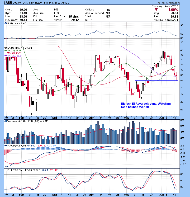LABU Biotech ETF,oversold zone. Watching for a bounce over 30. 